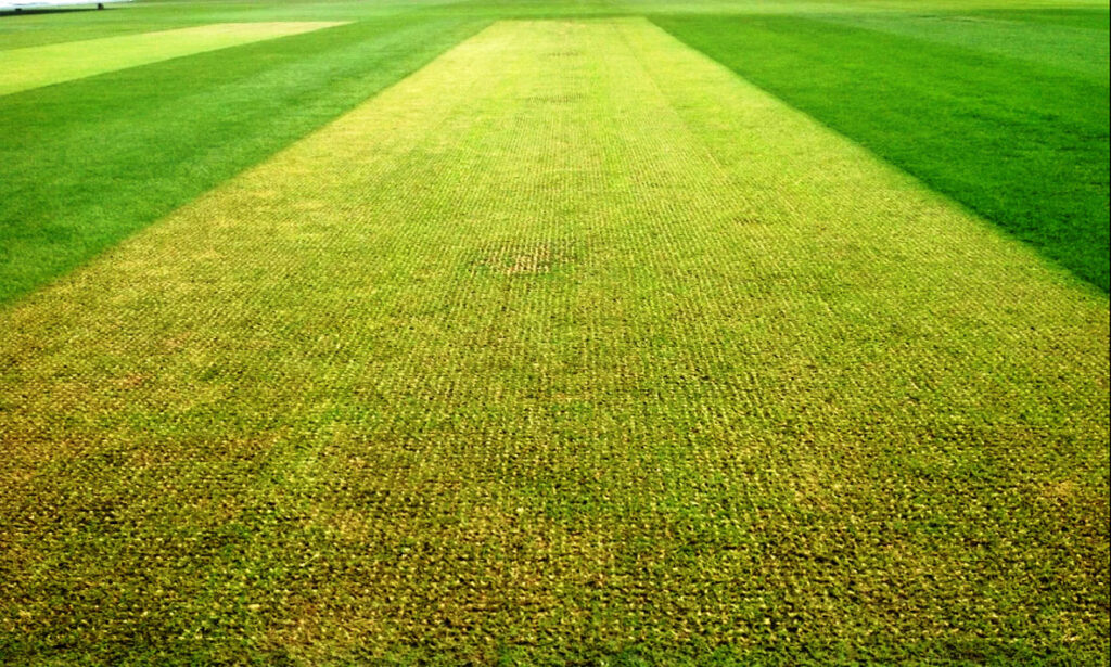 Hybrid Cricket Pitch