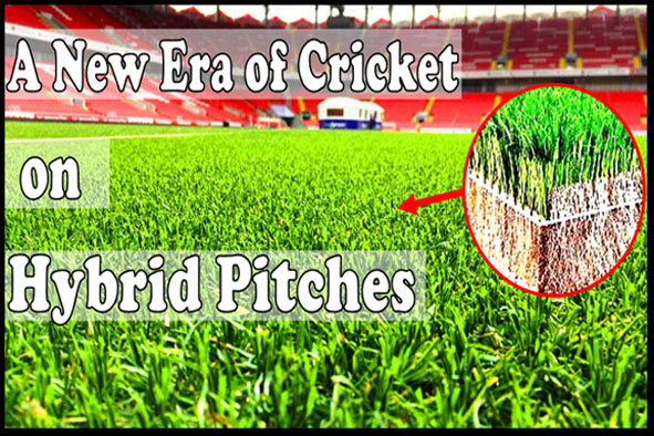 Hybrid Pitch A New Era of Cricket