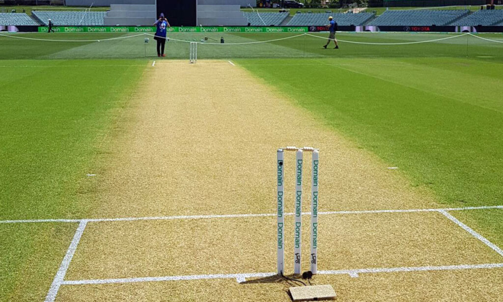 ICC ODI Natural Cricket Pitch