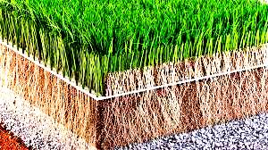 Hybrid Pitch Turf