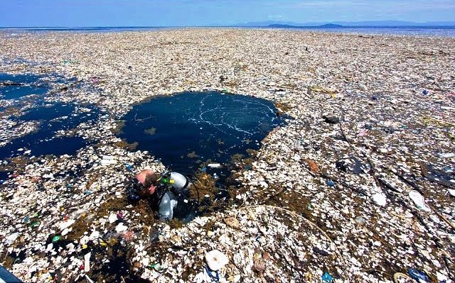 Great Pacific Garbage Patch