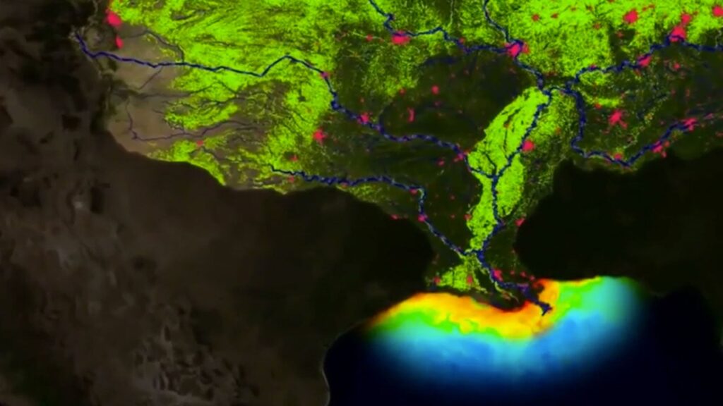 Gulf of mexico dead zone